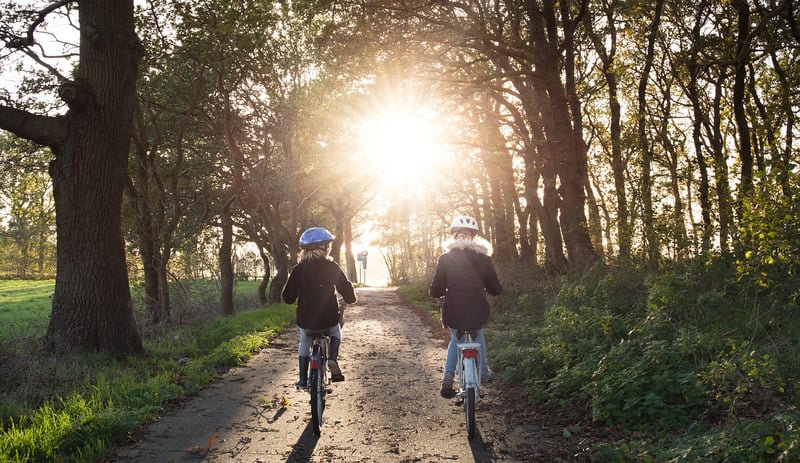 Mountain Biking Image